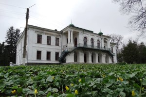 Дворец Закревских, Березовая Рудка
